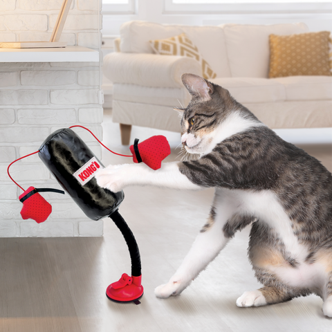 Punching Bag
