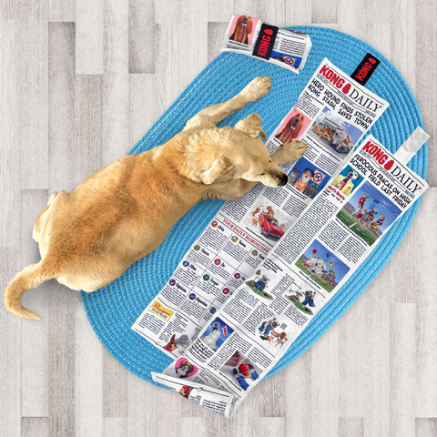 Kong Daily Newspaper