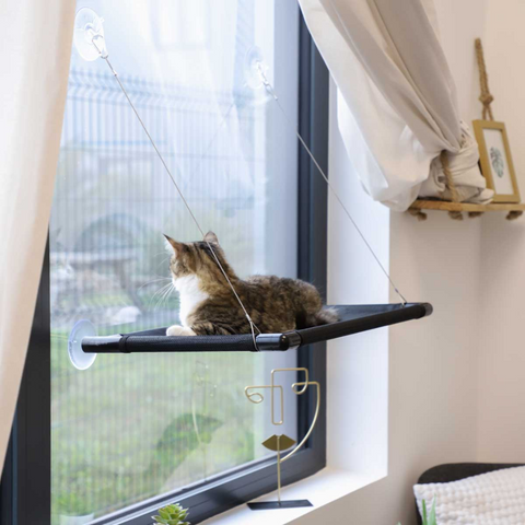 Rede de Janela para Gato