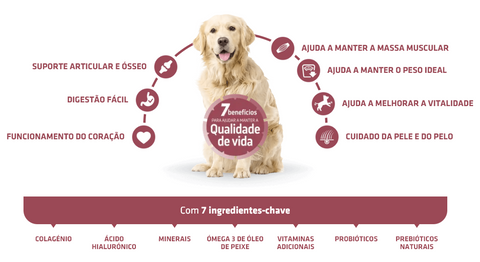 Advance Cão Maxi Senior +6