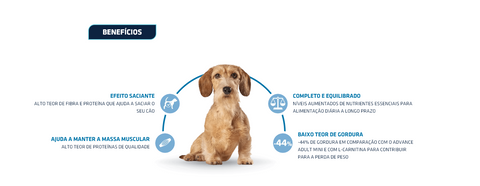 Advance Cão Mini Light