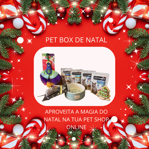 PetBox Gato - Natal