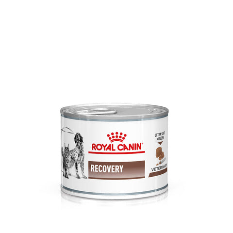 Royal Canin Cão Recovery (Mousse Ultra Suave)