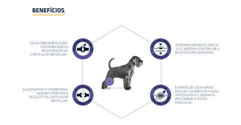 Advance Vet Cão +7 Anos Articular Care Senior